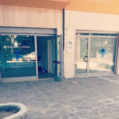 Photos of Studio Veterinario Cervia