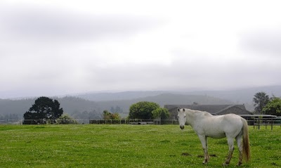 Photos of Garden Route Horse Trails