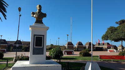 Photos of Turismo El Bosque