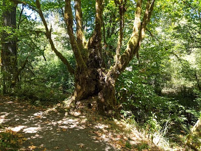 Ritner Creek Park