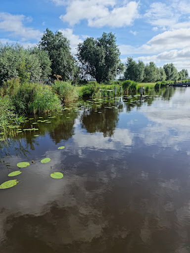 'Staatsbosbeheer - t Roegwold Tetjehorn - Thumbnail