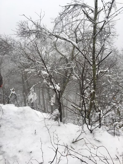 Wind Rock/Appalachian Trail Parking