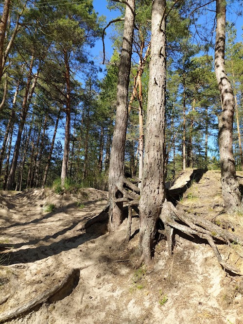 Ievērojamu vietu apskate