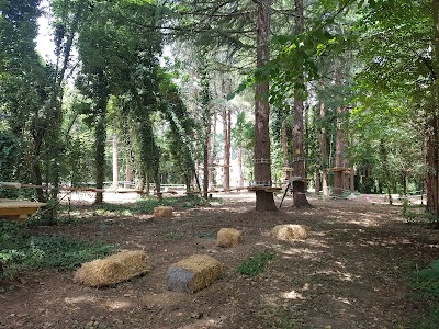 Tree Park Jesi