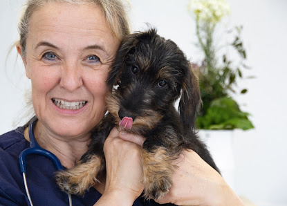 Bild: Tierärztin Dr. Monika Weiß Hund