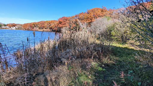 Jordan Pond Walking Trail