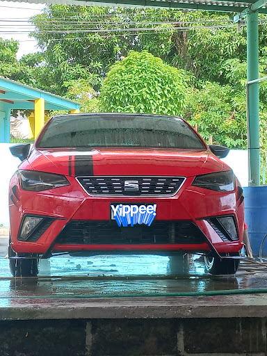Auto lavado "El Palmar" - Thumbnail