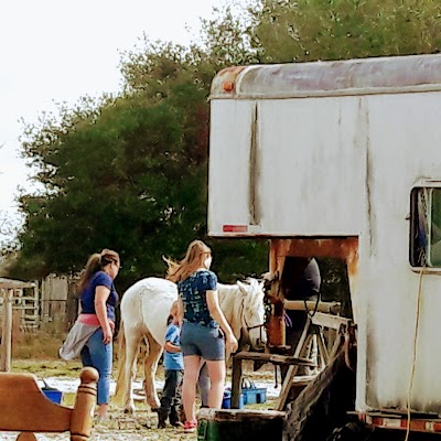 Photos of HorseSisters Equine Assisted Therapy & Rescue Sanctuary