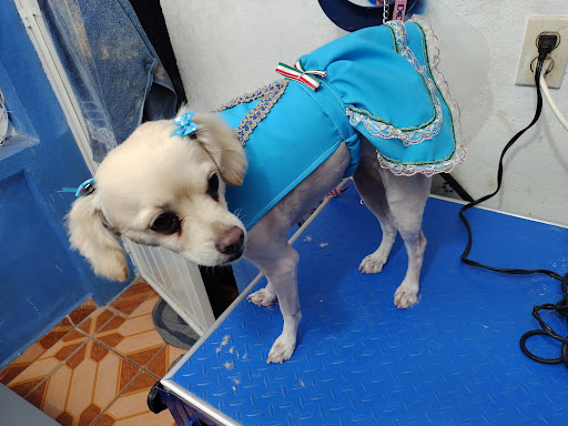 VETERINARIA LOKZ