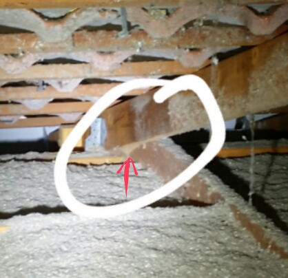 Termites'R'us - Thumbnail