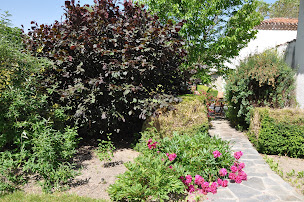 Photo n°16 de Gîtes des Mûriers à Mornand-en-Forez (Gîte)