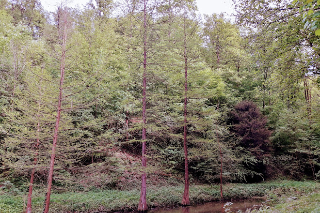 Visit Exotenwald Weinheim On Your Trip To Weinheim Or Germany