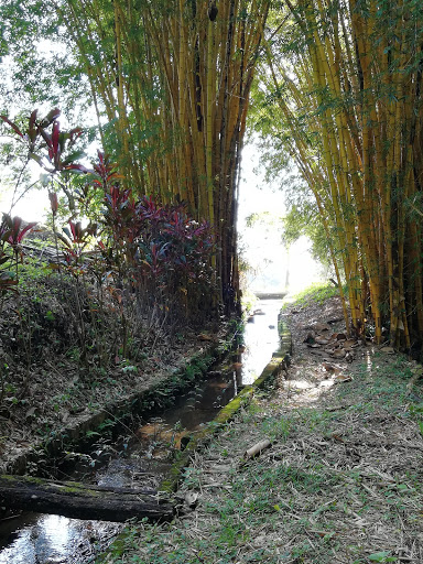 Finca Monte Carlo - Thumbnail
