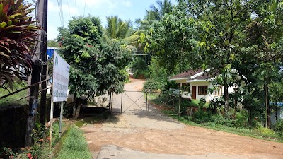Photos of Morapitiya Tea Factory