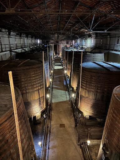 Terres des Templiers - Grande Cave Gallery - Spain