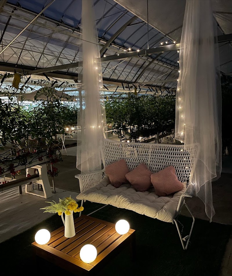 おりがみ農園 ゆうあい直売所・ミニトマト狩り観光農園