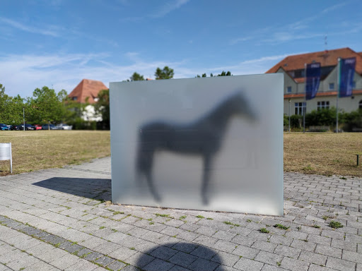 Erlangen Graduate School in Advanced Optical Technologies (SAOT) - Thumbnail