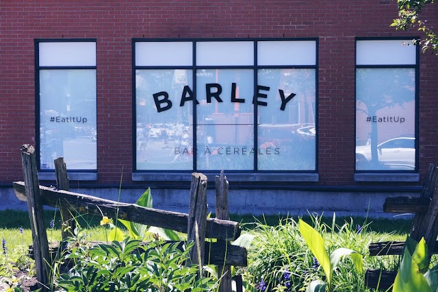 Barley - Bar à Céréales