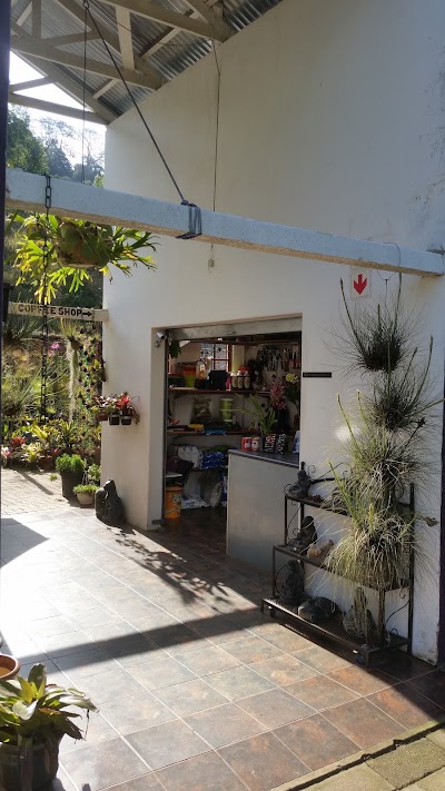 Photos of The Nature Company