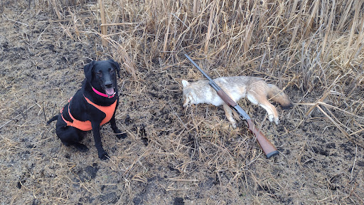 Spellman Lake Waterfowl Production Area