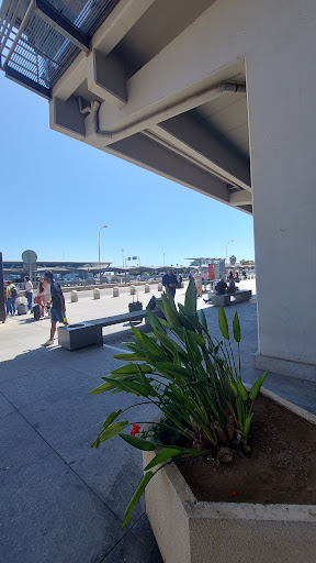 Aeropuerto - Llegadas - Visual