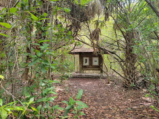 Munyon Island Mangrove Trail - Thumbnail