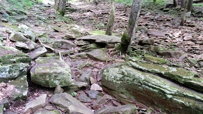 Piney River Management Area, Cumberland State Scenic Trail