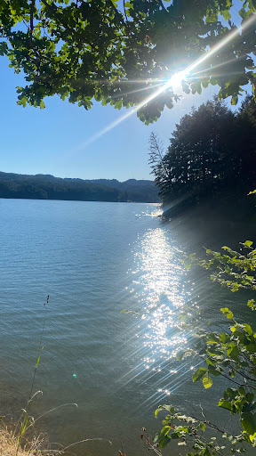 Henry Hagg County Park - Thumbnail