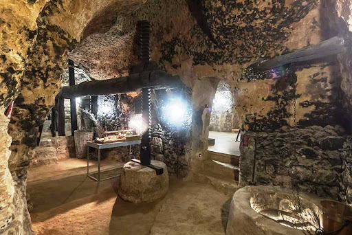 Bodega. Aula de Interpretación (Museo del vino) - Thumbnail