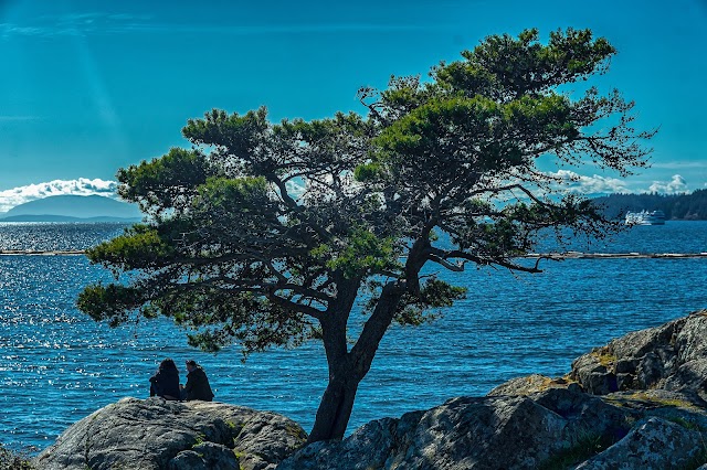 Whytecliff Park Playground