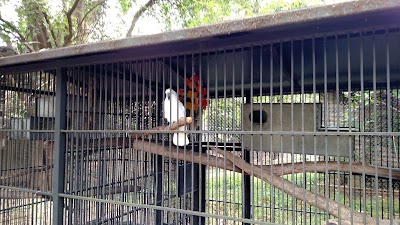 Photos of Hollywild Animal Park