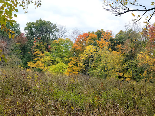 Columbia Audubon Nature Sanctuary - Thumbnail