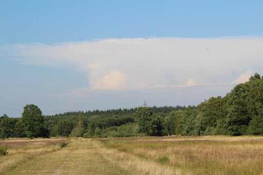 Panzerberg Wentorfer Lohe - Thumbnail