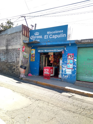 Miscelánea El Capulín - Thumbnail