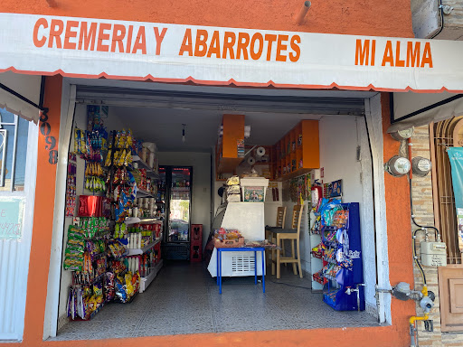 CREMERIA Y ABARROTES MI ALMA