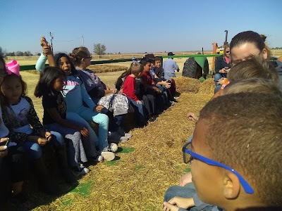 Red River Pumpkin Patch