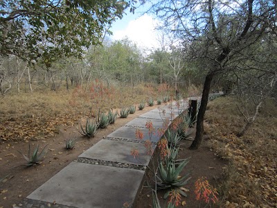 Photos of Elephant Plains Game Lodge
