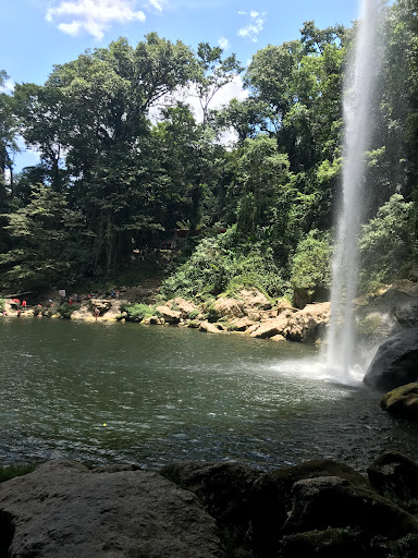 Cascada Misol Ha Gallery - Mexico