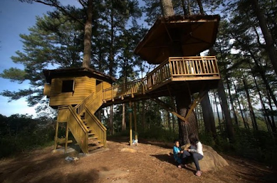Photos of Taman Hutan Raya Pocut Meurah Intan