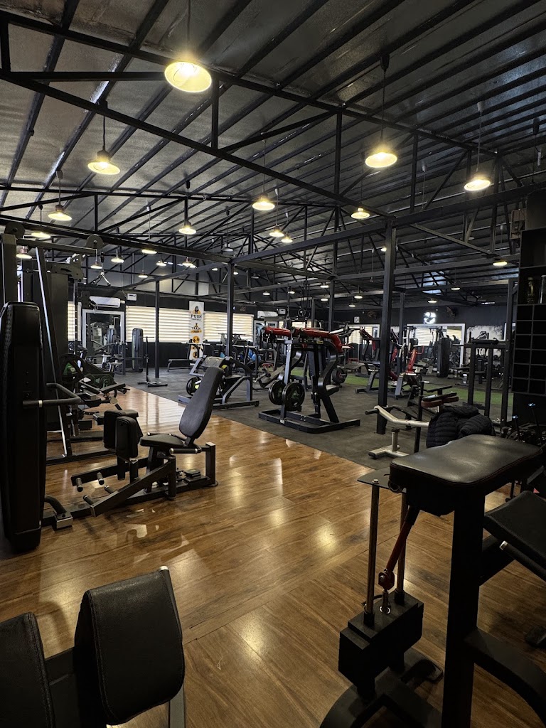 B Fit Unisex Gym