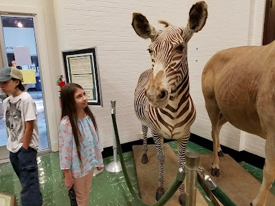 LSU Museum of Natural Science