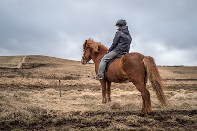 Photos of Skeidvellir