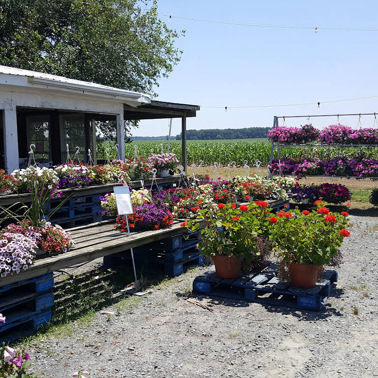 Street's Produce Farmers Market in Bridgeville