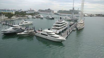 Photos of Jungle Island