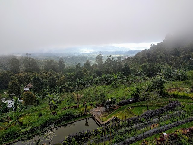 Munduk Menir Villas