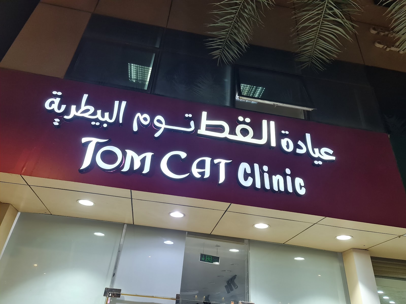 عيادة القط توم للحيوانات الأليفة | Tom Cat Pet Clinic - صورة 2