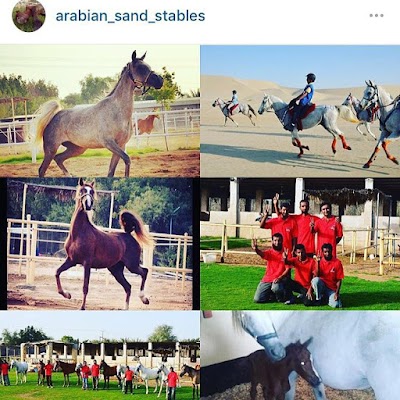 Photos of إسطبلات الرمال العربية