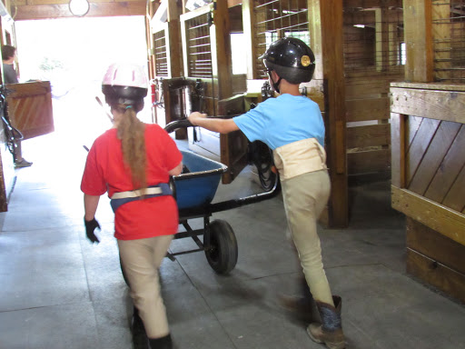 Jamestown New Horizons - Therapeutic Horseback Riding - Thumbnail