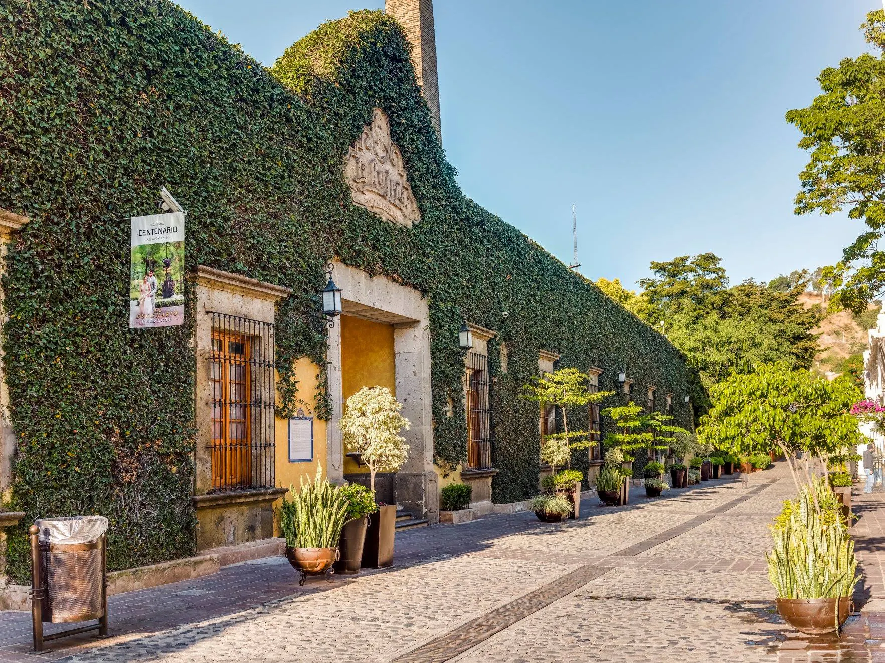 Hostal Tequila