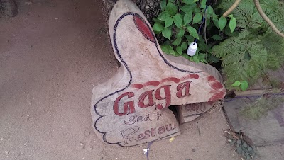 Photos of Gaga Seafood Restaurant